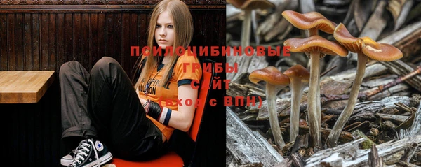 мет Аркадак