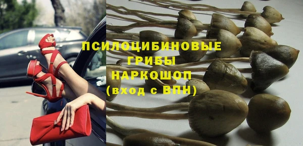 мет Аркадак